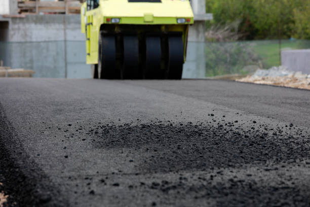 Best Professional Driveway Pavers  in Waldo, AR