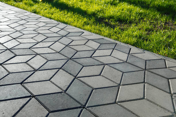 Best Driveway Pavers Near Me  in Waldo, AR