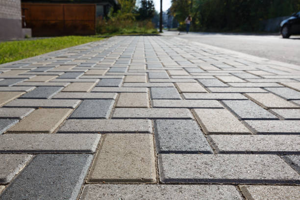 Best Driveway Pavers Near Me  in Waldo, AR