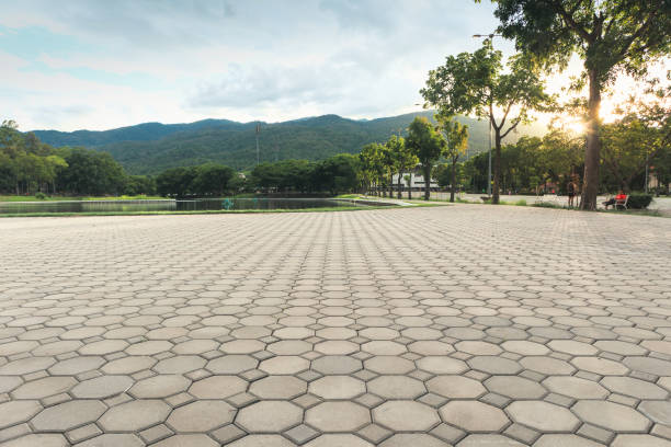 Best Cobblestone Driveway Pavers  in Waldo, AR