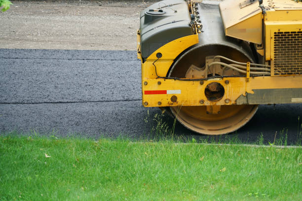 Best Residential Paver Driveway  in Waldo, AR
