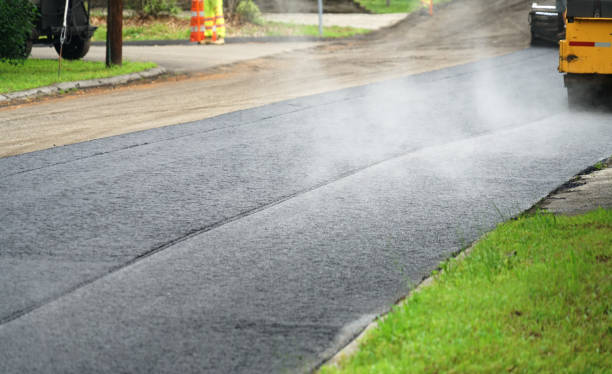 Best Driveway Repair Near Me  in Waldo, AR